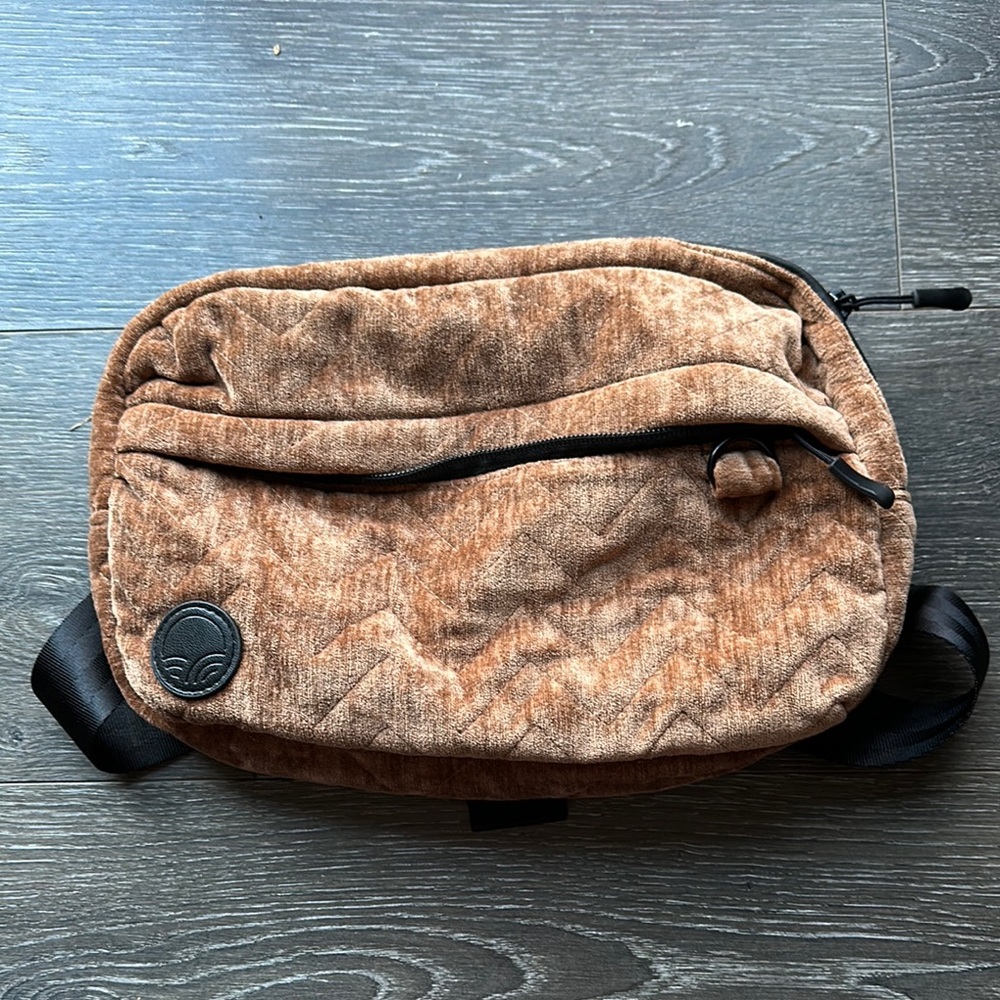 Tushbaby belt bag.